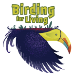 Birding For Living